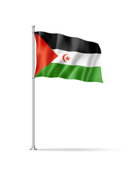 Sahrawi flag isolated on white