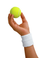 Gesture series: hand holding tennis ball - 539781965