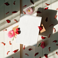 An open blank notebook is on a white wooden table. Aster flowers and red petals are scattered nearby. Botanical concept of keeping a diary, making lists, taking notes, doing things. Flat lay.