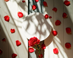 A fresh red rose and a white round canvas are on a white wooden background. Petals scattered around. Plant shadows fall on the table. Romantic flower arrangement with copy space. Flat lay. Top view.