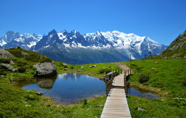 Idyllic landscape with Mont Blanc mountain range in sunny day. Nature Reserve Aiguilles Rouges, French Alps, France, Europe.