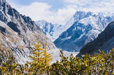 alpine landscape with autumn colors