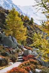 portrait autumn in the mountains with beautiful colors