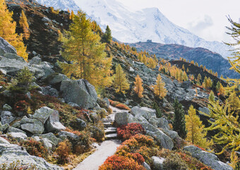 mountain trail in an autumn landscape with glacier