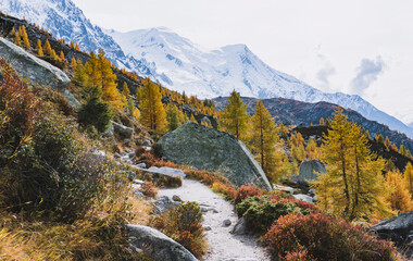 Fototapeta na wymiar autumn mountain trail with glacier in background