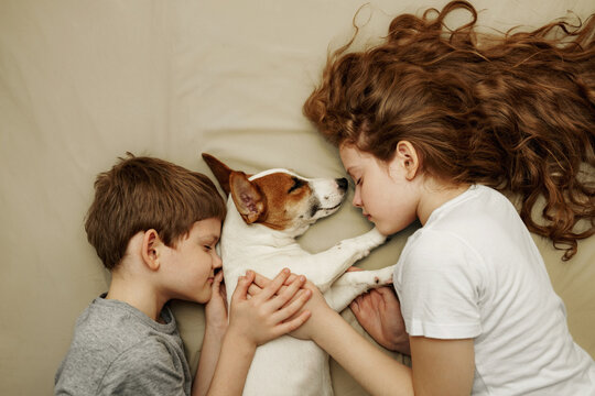 Cute children closed her eyes, sleep and embracing his friend dog