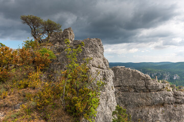 The city of stones, within Grands Causses Regional Natural Park, listed natural site with Dourbie Gorges at bottom.