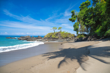 Beach with palm trees