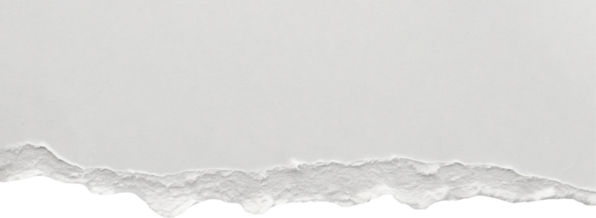 White ripped paper torn edges strips isolated on white background