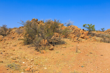 African savannah during a hot day. Oanob, Namibia.