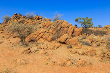 African savannah during a hot day. Oanob, Namibia.