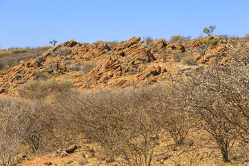 African savannah during a hot day. Oanob, Namibia.
