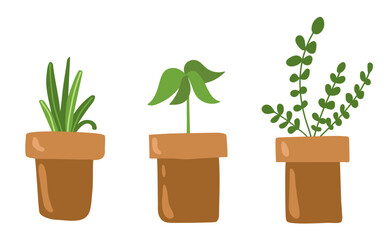 Pots with sprouts isolated on white background. vector illustration.