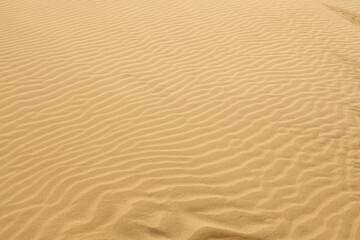 Fototapeta na wymiar Morocco desert sand background