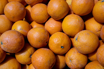 oranges in the market on a sunny day