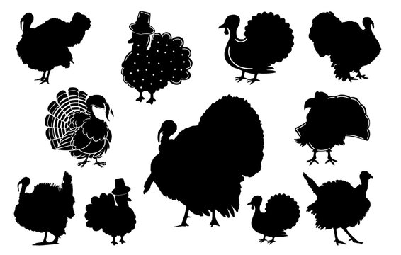 Turkey Silhouette set, black turkey silhouette bundle, set of black turkey vector, silhouette  turkey illustration