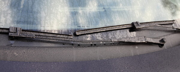 Dew on car windshield wipers
