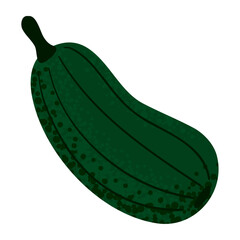 zucchini vegetable icon