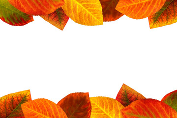 Rahmen aus bunten Herbstblättern - isoliert