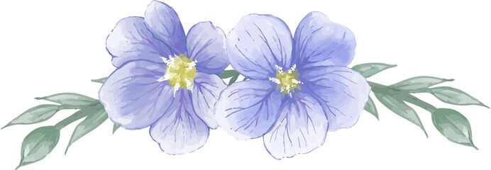 Fototapeta na wymiar iris flower isolated on white