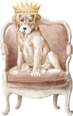 Labrador puppy on the chair