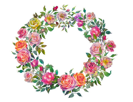 A wreath of roses. Round flower frame. Multicolored roses isolated on a white background. Botanical watercolor illustration.