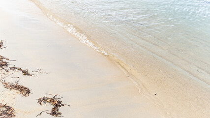 Blue sea wave background on sandy beach with seaweed, travel concept