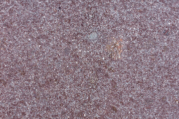 the natural stone wall background or texture