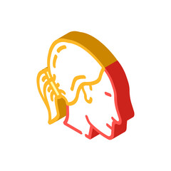 pigtails hairstyle female isometric icon vector. pigtails hairstyle female sign. isolated symbol illustration