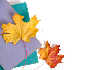 Old hardcover books and autumn maple foliage white background.