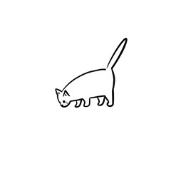 sketch cat, illustration cat