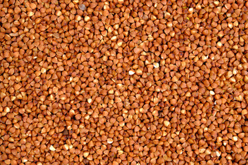 Abstract background, buckwheat buckwheat closeup.