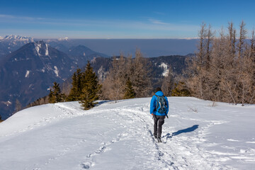 Fototapeta na wymiar Man on a snow shoe track leading to mountain summit Freiberg near Zell Pfarre (Sele), Austrian Alps, Carinthia (Kaernten), Austria, Europe. Winter wonderland on sunny day in Karawanks, Julian Alps