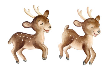 Cartoon Christmas deer isolated on white background. Watercolor illustration. Template