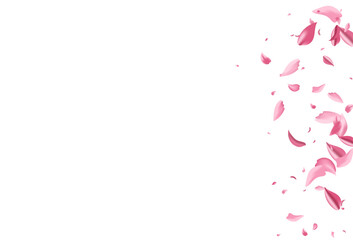 Red Blossom Fall Vector White Background. Flying