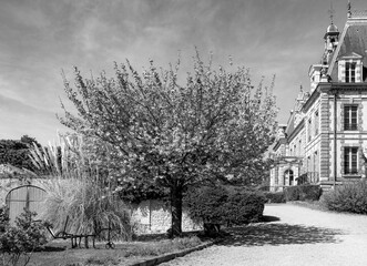 paysage architecture noir blanc vieille cour de maison avec bel arbre