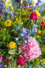 colorful flowers in garden