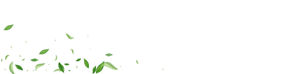 Forest Leaves Spring Vector White Panoramic