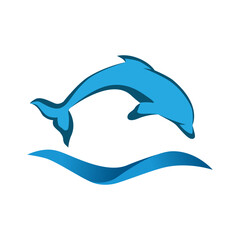 dolphin and blue ocean waves