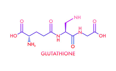Glutathione chemical formula. Reduced glutathione, GSH. Vitamin solution complex. Vector stock illustration.