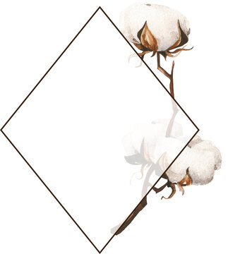 Isolated Rhombus Frame With White Cotton Flower Branch. Cut Out Hand Drawn PNG Illustration On Transparent Background. Water Colour Clipart Drawing.