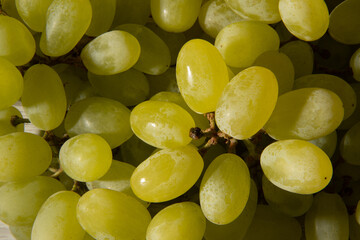 Many berries of white grapes. Juicy white grapes. Grapes Texture.