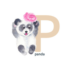 Letter P, panda with peony, cute kids animal ABC alphabet. Watercolor illustration isolated on white background. Can be used for alphabet or cards for kids learning English vocabulary and handwriting