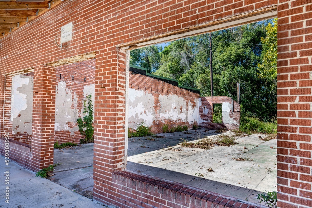 Wall mural historic building