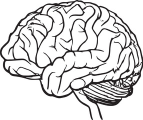 Human brain black and white isoloted vector illustration medical health