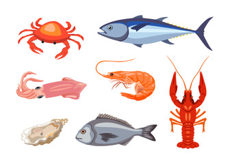 Different seafood or marine animals cartoon illustration set. Crab, lobster, oyster, fish, tuna, shrimp, mussel, salmon and crayfish isolated on white background. Gourmet food concept