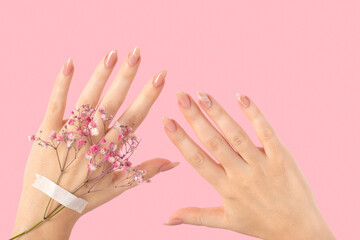 Female two hands with pink gypsophila flowers gel polish beige long nails on a pink isolated background. Beauty spa concept, manicure marble design