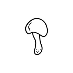 Fototapeta premium Edible mushroom on a thin stalk. Boletus or white mushroom. Black and white vector isolated illustration hand drawn doodle. Single element, print or card. Forest harvest