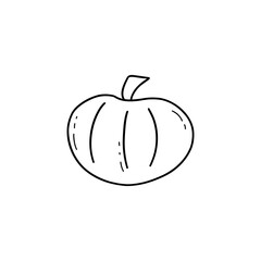 Cute pumpkin. Black and white doodle vector isolated illustration hand drawn. Happy Halloween. Harvesting autumn season. Ripe gourd, organic vegetable food icon