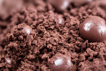 chocolate, a sweet food made from cacao and milk, a yummy snack